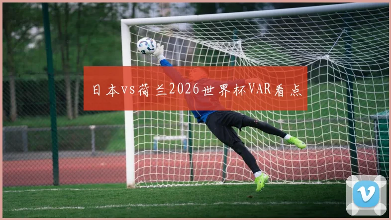 日本vs荷兰2026世界杯VAR看点