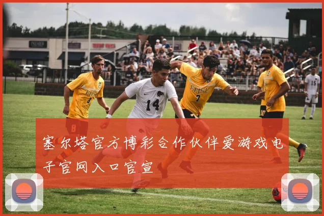 塞尔塔官方博彩合作伙伴爱游戏电子官网入口官宣
