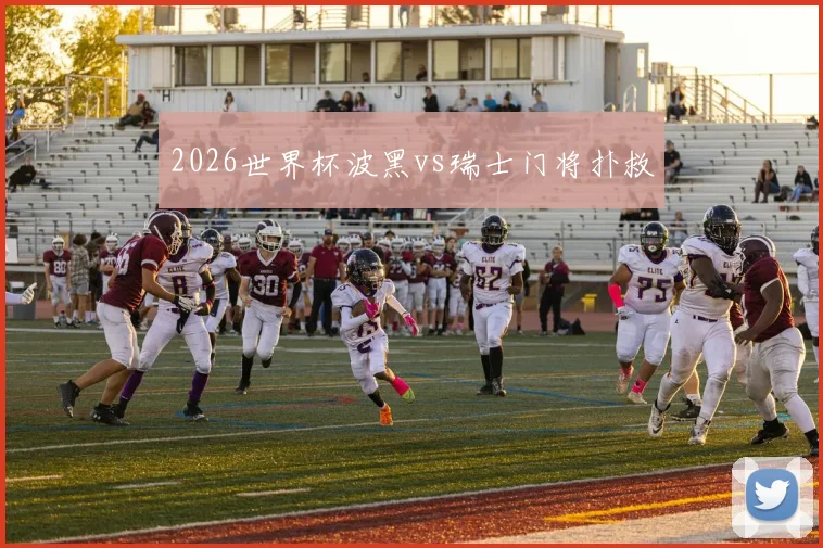 2026世界杯波黑vs瑞士门将扑救