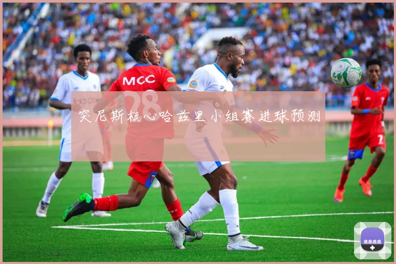 突尼斯核心哈兹里小组赛进球预测